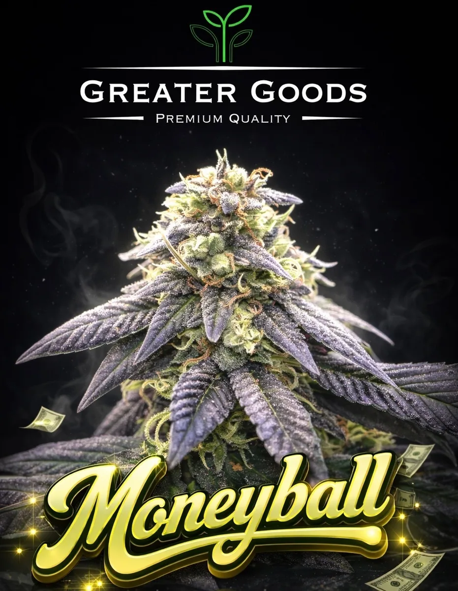 Frosty cannabis cola with purple-tinged leaves under the Greater Goods logo, with gold Moneyball lettering and scattered bills.