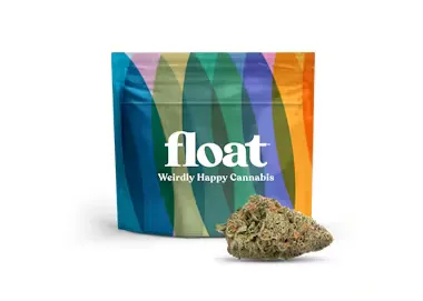 Colorful striped Float pouch with a cannabis bud in front of it.