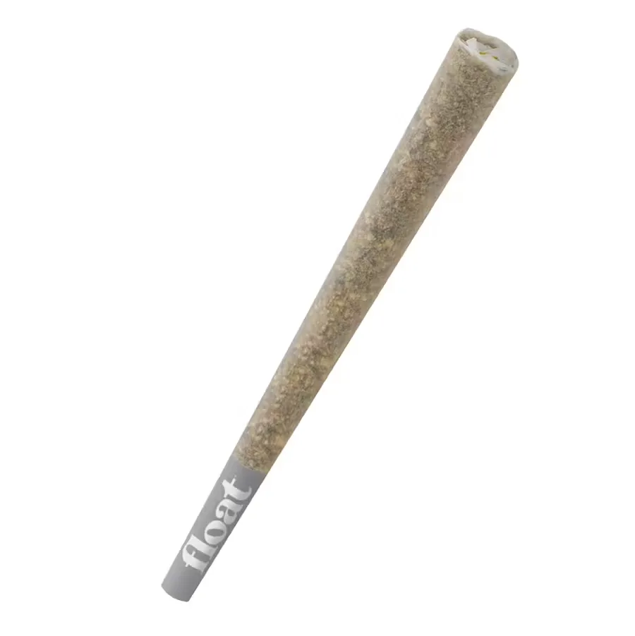 Single cone-shaped pre-roll with a grey Float-branded filter tip on a white background.