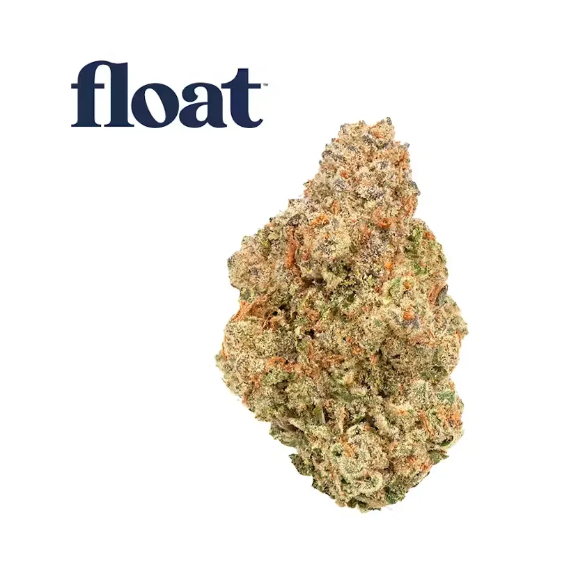 Single light green cannabis bud with orange hairs on a white background under the Float logo.