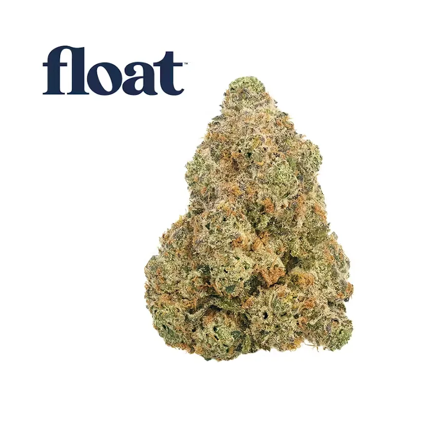 Single light green cannabis bud with orange hairs on a white background under the Float logo.