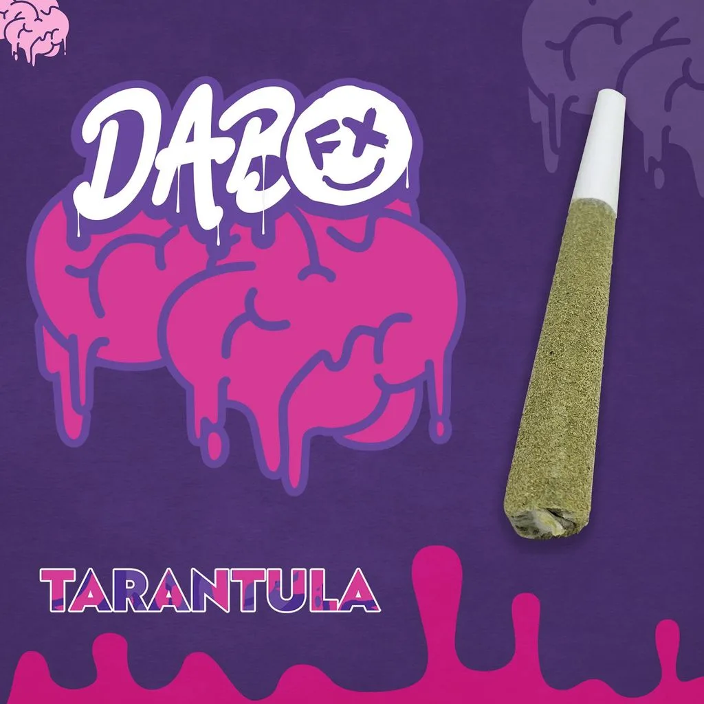 Purple graphic with the DABO logo and the word Tarantula beside a single infused pre-roll.